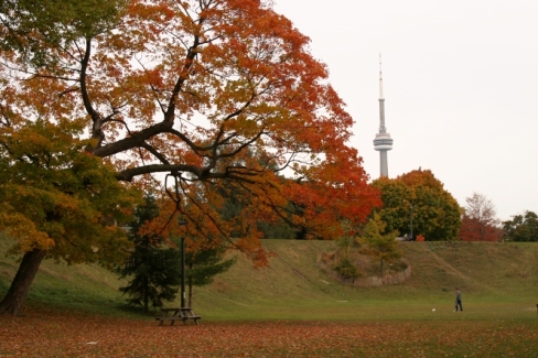 Fall - Toronto